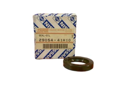 NISSAN 29054-41H10