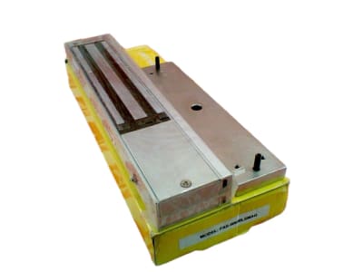 FAST ACCESS SECURITY CORP FAS-W600LSMAG
