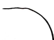 EATON CORPORATION 030880