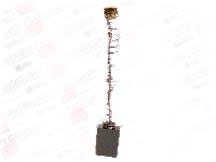 RADWELL VERIFIED SUBSTITUTE 8106899AB1-SUB