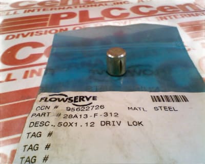 FLOWSERVE 28A13-F-312