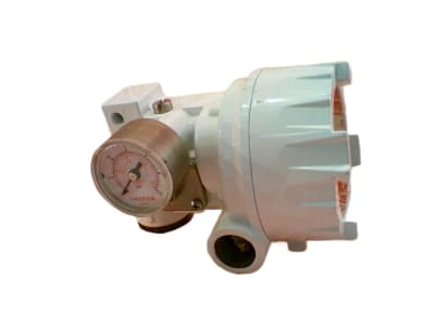 FLOWSERVE NT300-10-W