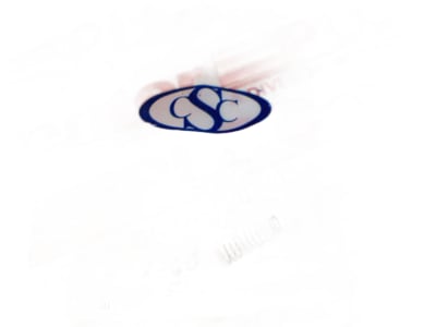 CENTURY SPRING V-60