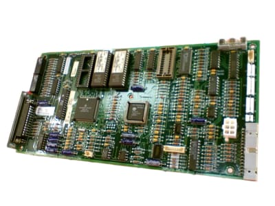 ZEBRA 38532