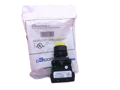 C3 CONTROLS W22IPB-EY-FM24LW-10