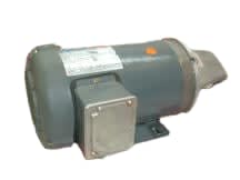 REGAL REXNORD 56FR-3PH-1-1/2HP-1425RPM