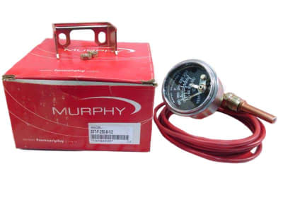 FW MURPHY 10702239