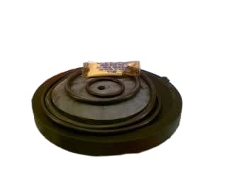 WATTS 0881295