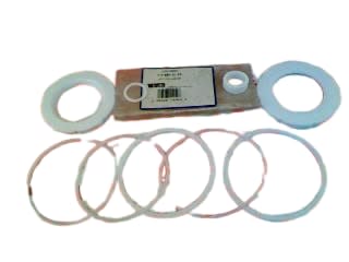 WATTS 0885625