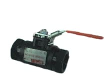 WATTS 1-C-7350-04-LL-SS