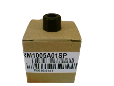 ASEA BROWN BOVERI RM1005A01SP