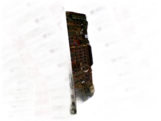 ZEBRA 5405017T01