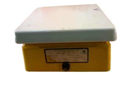 THERMO FISHER SCIENTIFIC SP46925