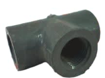 IPEX 036819