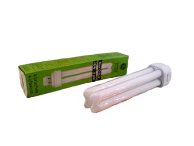 GRAINGER 1PGY6