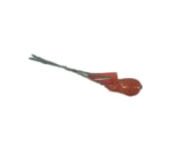 NTE TD2.2M35