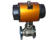 FLOWSERVE 33-39-SN-R6