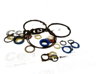 FLOWSERVE 10-RK39-R2-R3