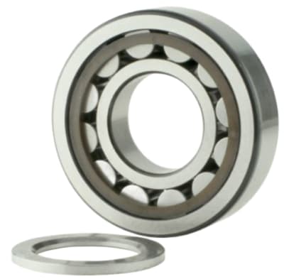 SKF NUP 304 ECP