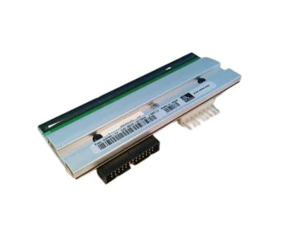 ZEBRA 23743-11