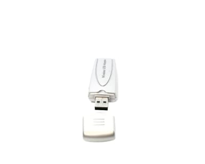 NETGEAR WPN111NA