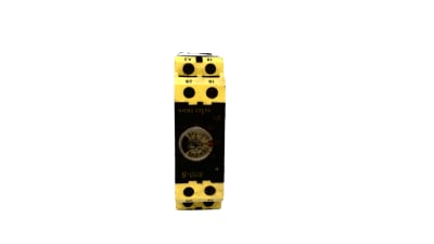 SELECTRON 800S-1-0N-60S-24V
