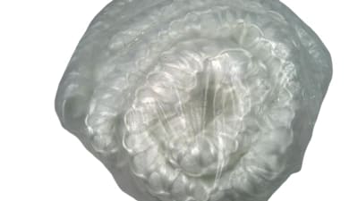 CORTEM GROUP FV-5
