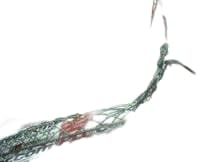 HUBBELL 02203006