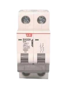 LS ELECTRIC BK63H-2P-C03-480
