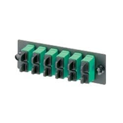 PANDUIT FAP6WAGDSCZ