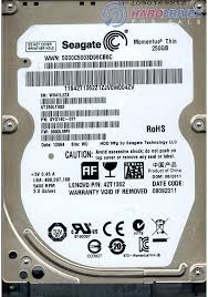 SEAGATE ST250LT003