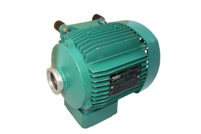 NIDEC CORP 4P LS71MP/T0.25KW-IM1001 (IM B3)-117VAC-60HZ-IP55