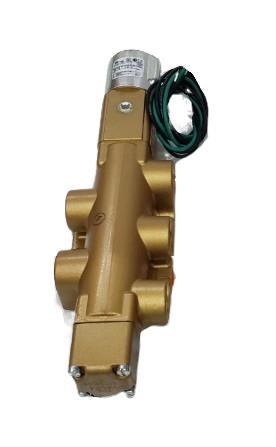 VERSA VALVES VGG-4522-31-A120