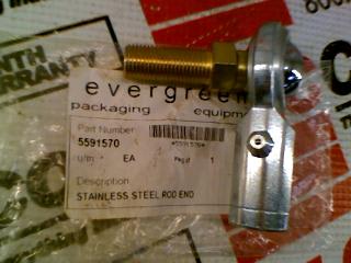 EVERGREEN 5591570