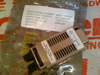 AVAYA 700013121
