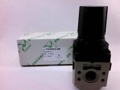 PNEUMAX 17202B.D.SM
