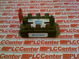 SILICON POWER M2522FV