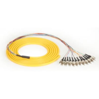 BLACK BOX CORP FOPT50S1-ST-12YL-3