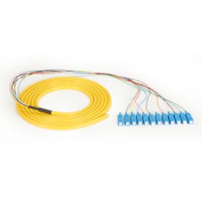 BLACK BOX CORP FOPT50S1-SC-12YL-3