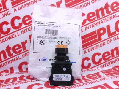 C3 CONTROLS W22IPB-FA-FM24LA-10