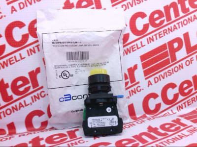 C3 CONTROLS W22IPB-EY-FM24LW-10