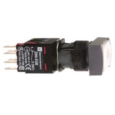 SCHNEIDER ELECTRIC XB6DW1B5B