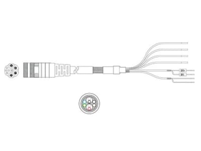 RADWELL RAD-P29167-M20