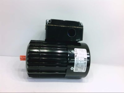 BODINE ELECTRIC 8981001818