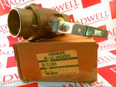 WATTS B-6001-SS-2