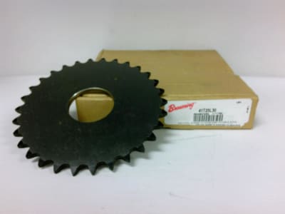 REGAL REXNORD 41T25L30