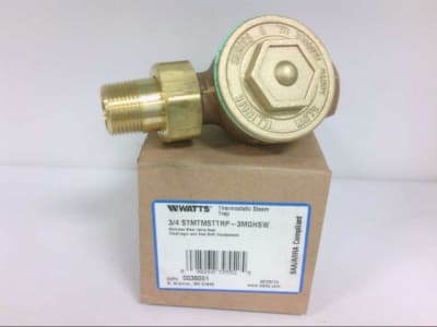 WATTS 3/4STMTMSTTRP-3MGHSW