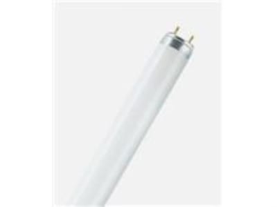 OSRAM L36W/840-1