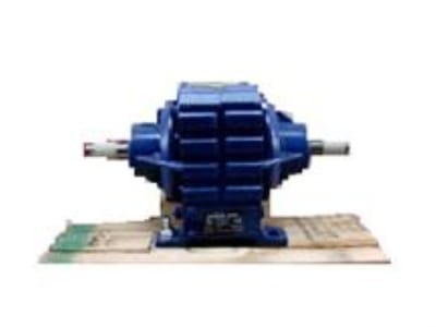 MAXCESS INTERNATIONAL 29LC10