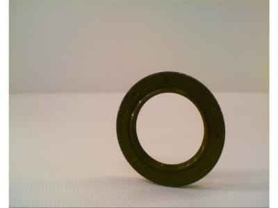 NAK SEALING TECHNOLOGIES 25X37X5X9